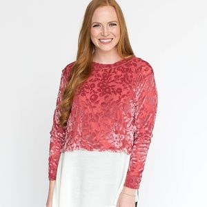 Velvet Burnout Pullover - Rose